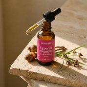 Olio di radice di Cyperus