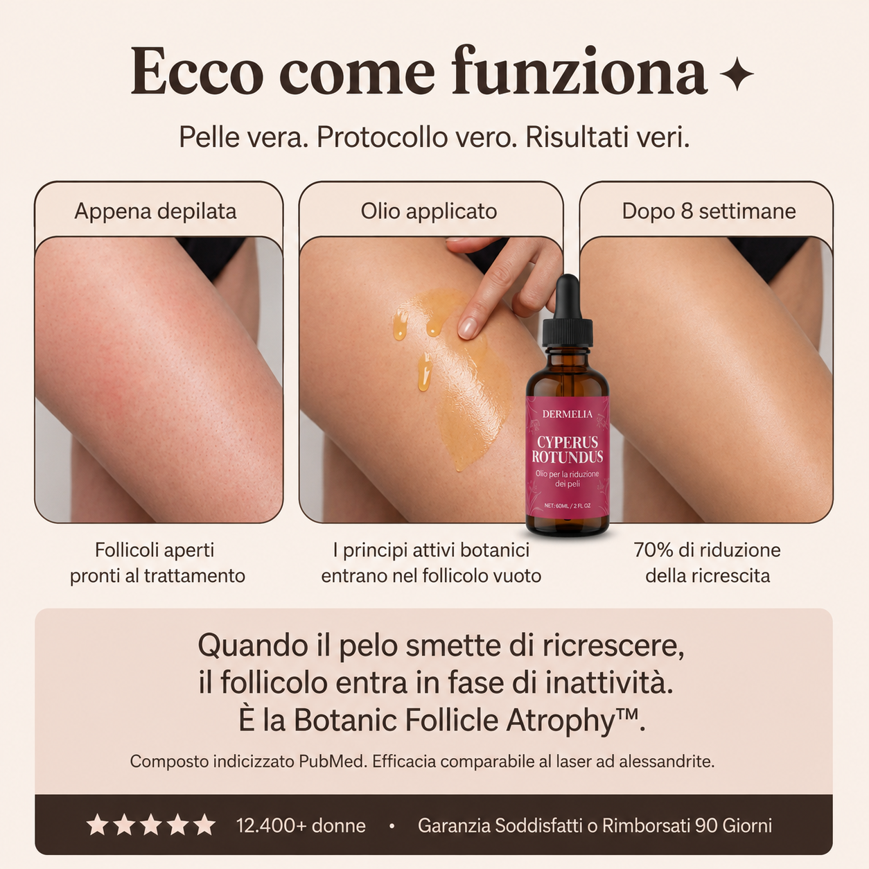 Olio di radice di Cyperus
