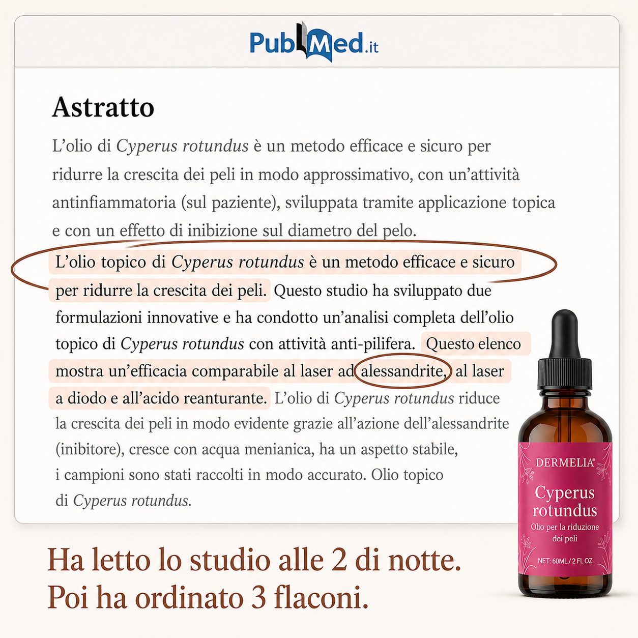 Olio di radice di Cyperus
