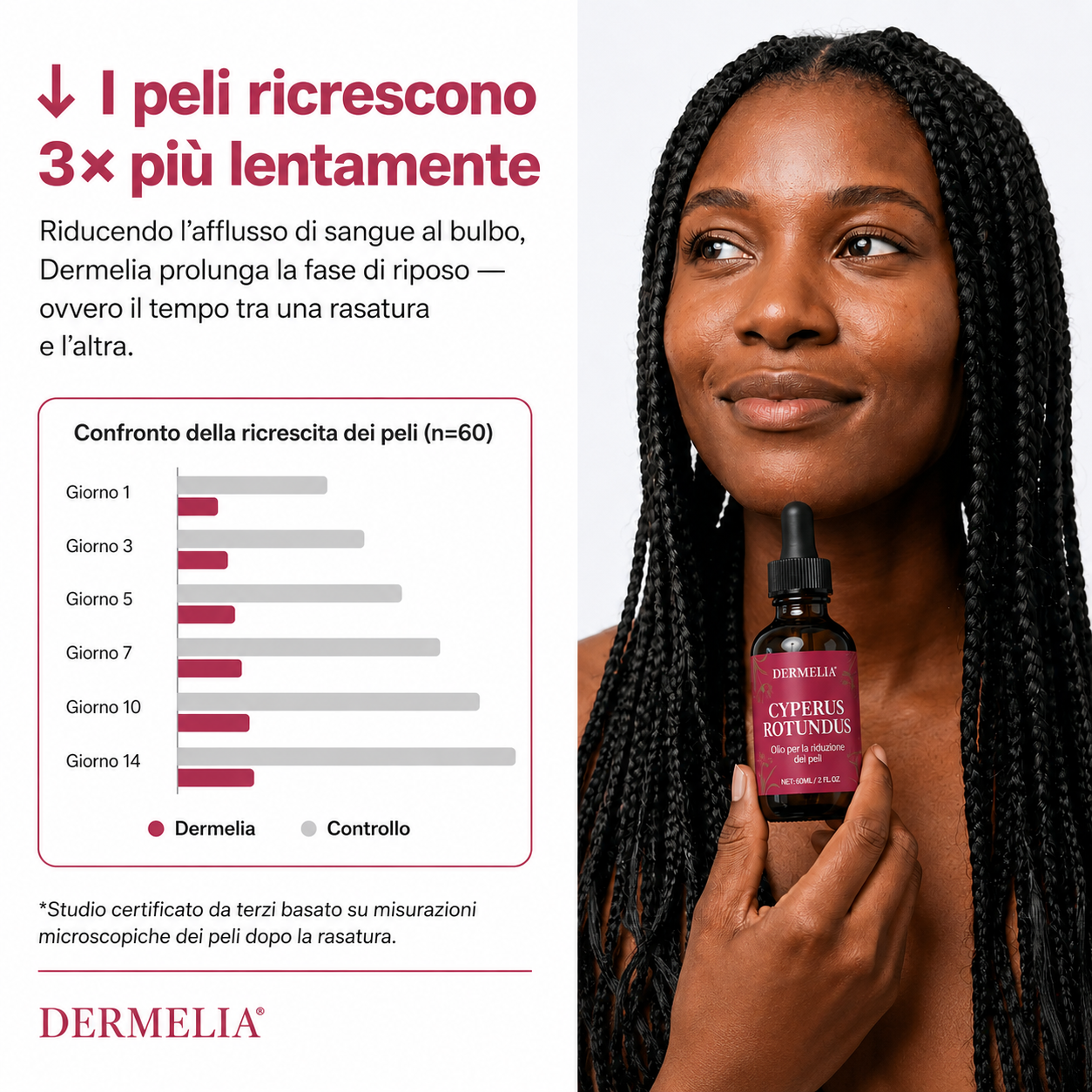Olio di radice di Cyperus