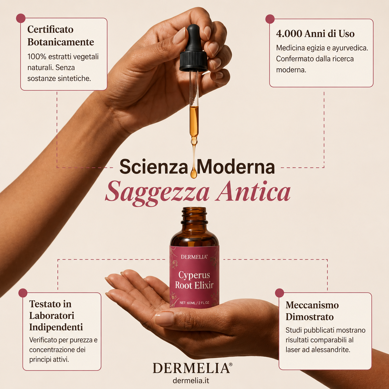 Olio di radice di Cyperus