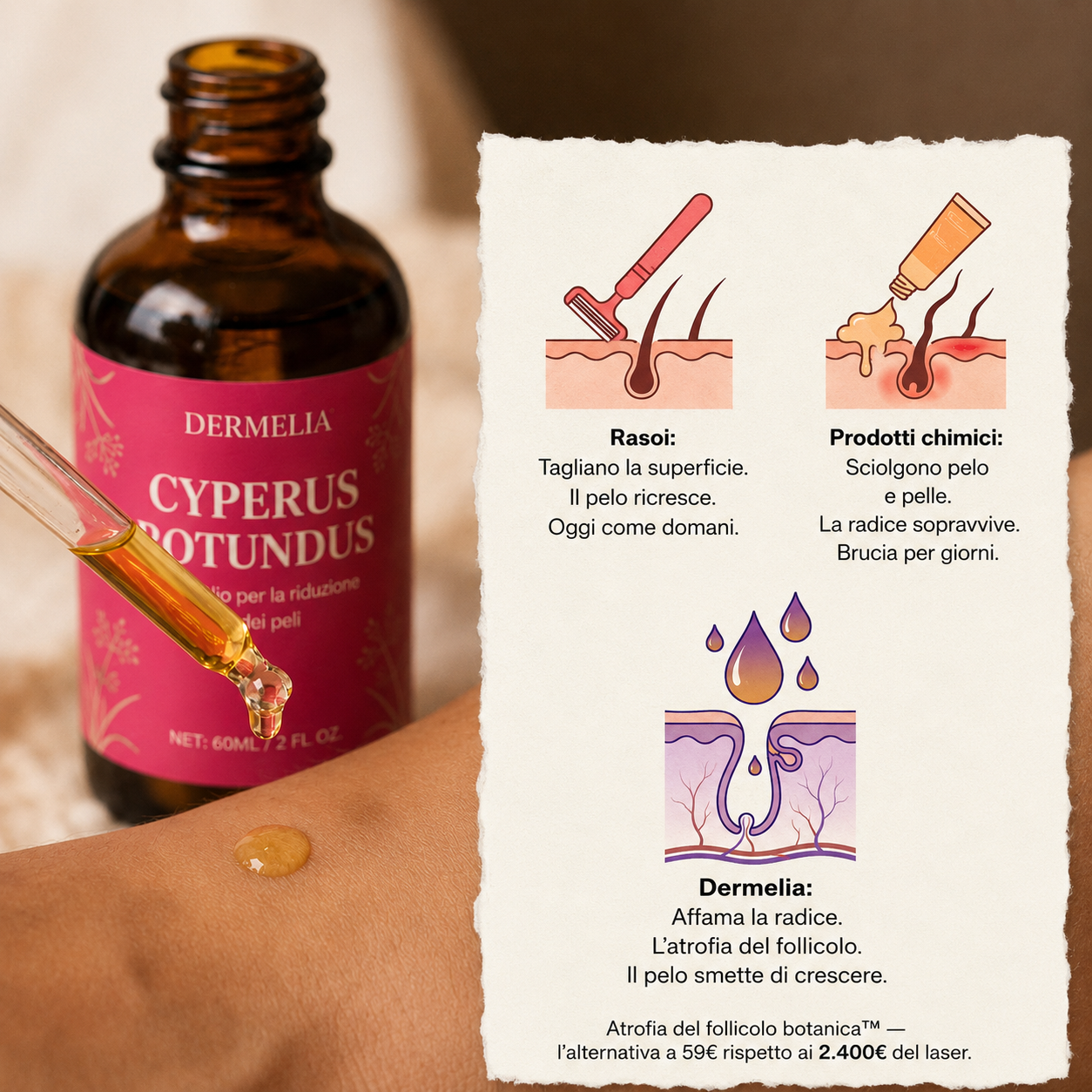 Olio di radice di Cyperus