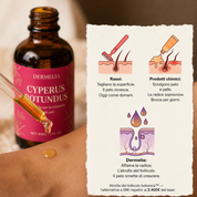 Olio di radice di Cyperus