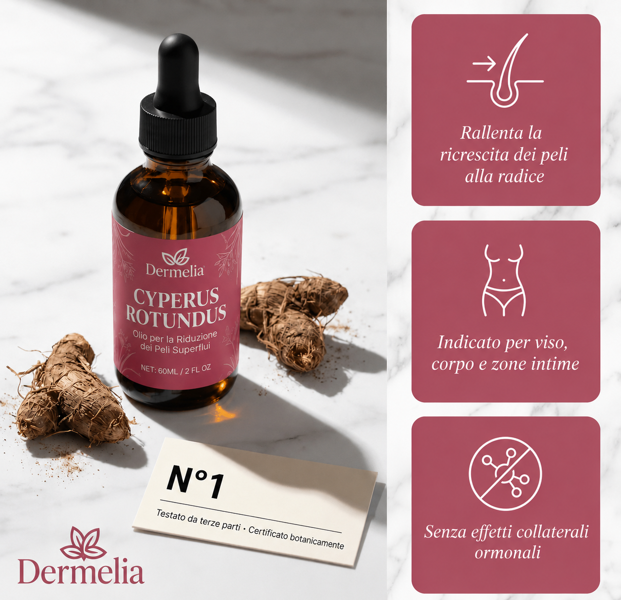 Olio di radice di Cyperus