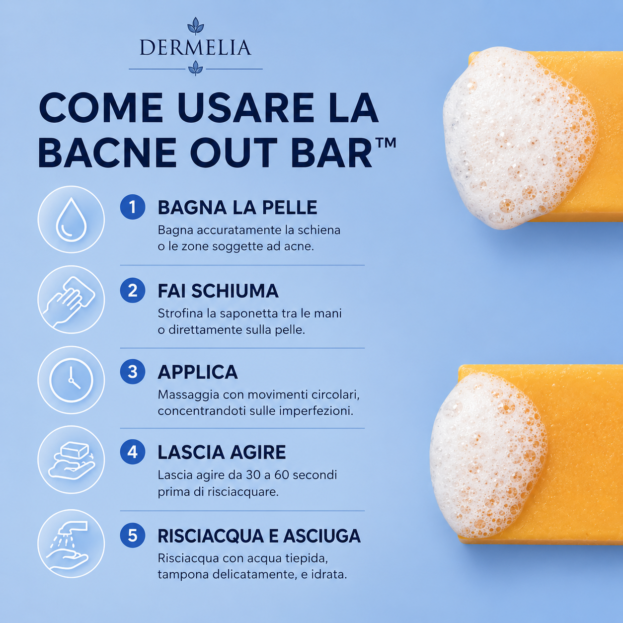Dermelia Bacne Out