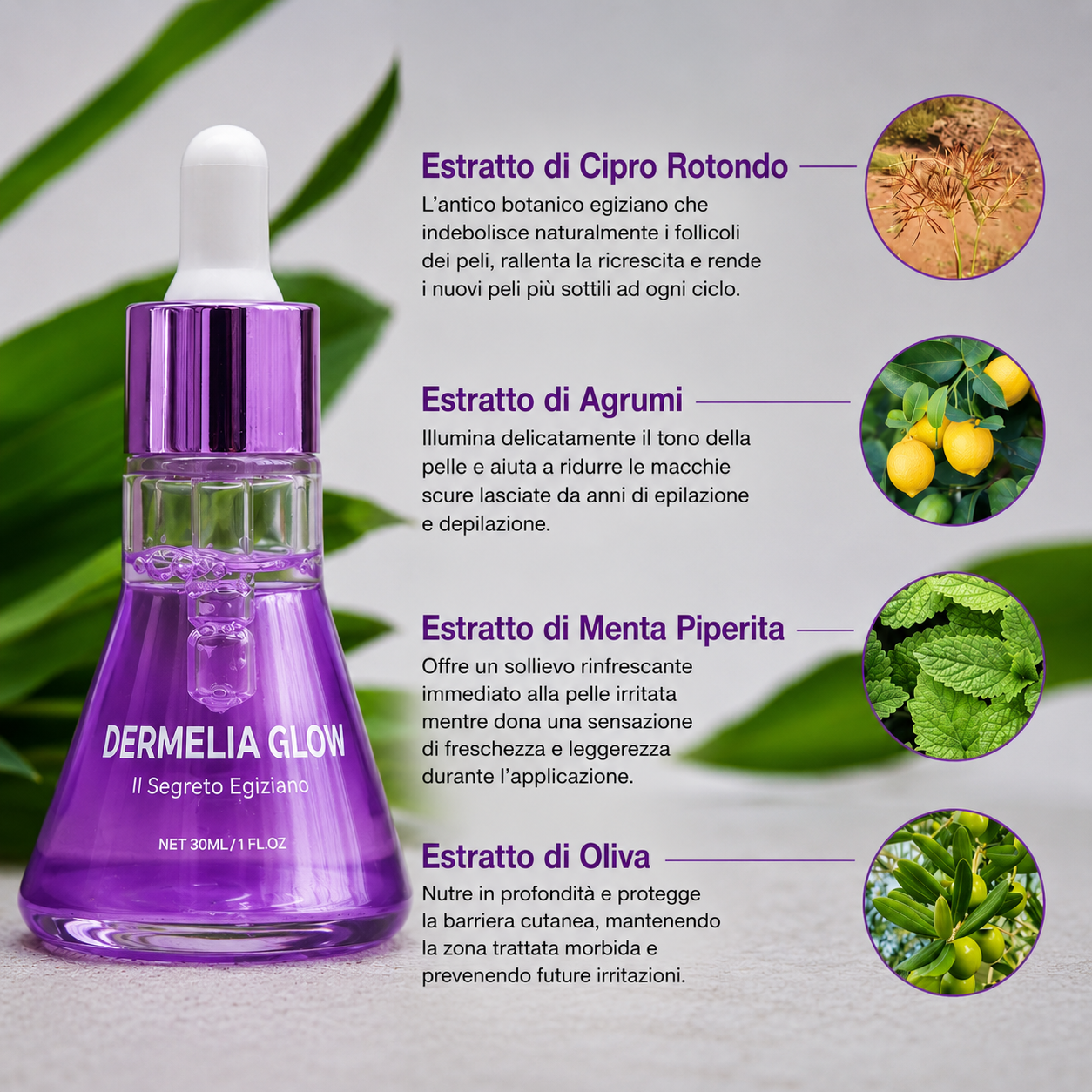 Dermelia Glow