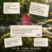 Olio di radice di Cyperus